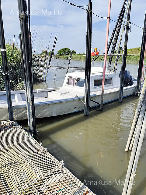 ヤマハ W-32 (佐賀県)