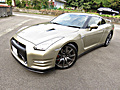 GTR 45" anniversary 800km